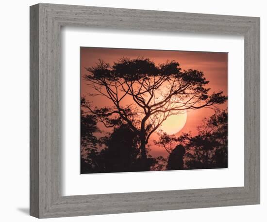 Sunrise, Coastal Highway, Belize.-William Sutton-Framed Photographic Print