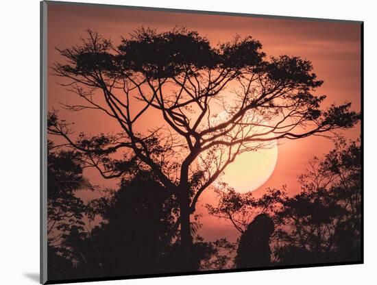 Sunrise, Coastal Highway, Belize.-William Sutton-Mounted Photographic Print