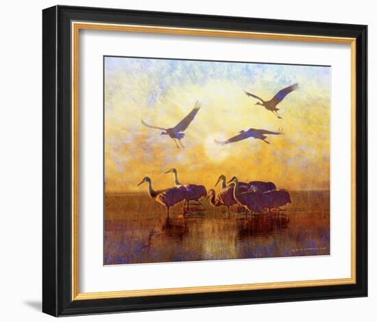 Sunrise Cranes-Chris Vest-Framed Art Print