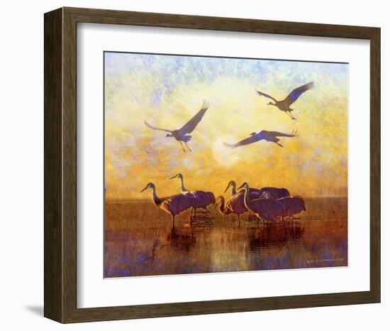 Sunrise Cranes-Chris Vest-Framed Art Print