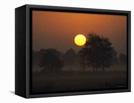 Sunrise, Fischland, Mecklenburg-Vorpommern, Germany-Thorsten Milse-Framed Premier Image Canvas