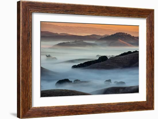 Sunrise Fog Through the Hills of Sonoma Valley, Petaluma California-Vincent James-Framed Photographic Print