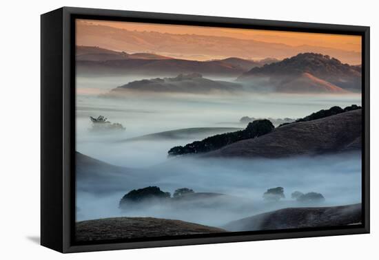 Sunrise Fog Through the Hills of Sonoma Valley, Petaluma California-Vincent James-Framed Premier Image Canvas