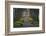 Sunrise, Green Park, London, England, United Kingdom, Europe-James Emmerson-Framed Photographic Print