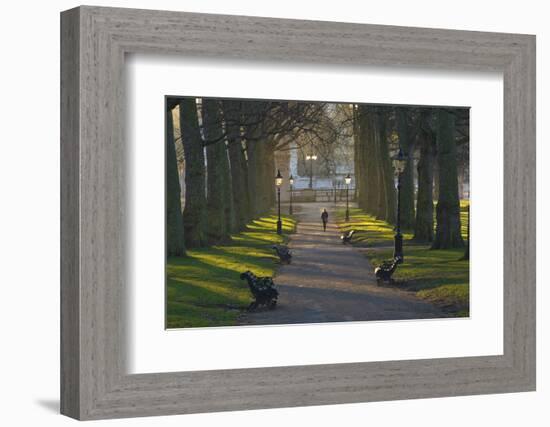 Sunrise, Green Park, London, England, United Kingdom, Europe-James Emmerson-Framed Photographic Print