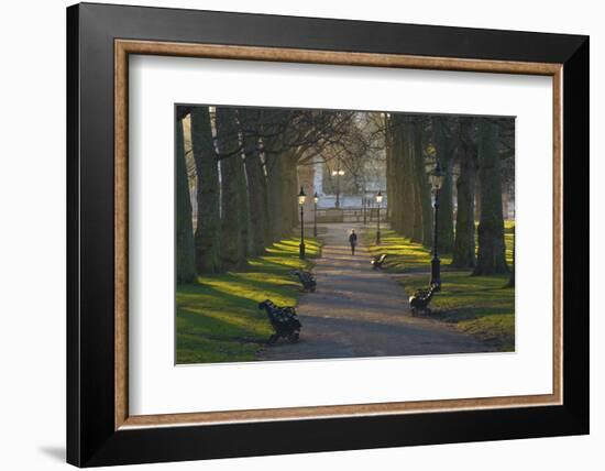 Sunrise, Green Park, London, England, United Kingdom, Europe-James Emmerson-Framed Photographic Print
