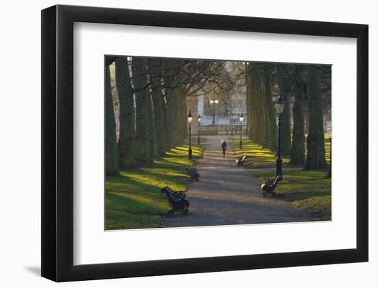 Sunrise, Green Park, London, England, United Kingdom, Europe-James Emmerson-Framed Photographic Print