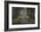 Sunrise, Green Park, London, England, United Kingdom, Europe-James Emmerson-Framed Photographic Print