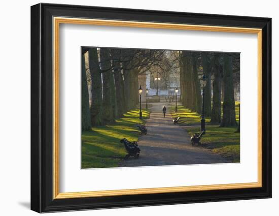 Sunrise, Green Park, London, England, United Kingdom, Europe-James Emmerson-Framed Photographic Print