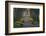 Sunrise, Green Park, London, England, United Kingdom, Europe-James Emmerson-Framed Photographic Print