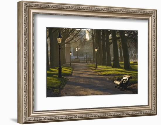 Sunrise, Green Park, London, England, United Kingdom, Europe-James Emmerson-Framed Photographic Print