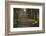 Sunrise, Green Park, London, England, United Kingdom, Europe-James Emmerson-Framed Photographic Print