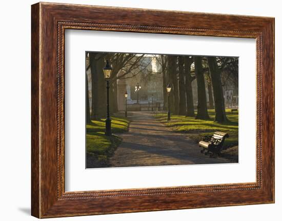 Sunrise, Green Park, London, England, United Kingdom, Europe-James Emmerson-Framed Photographic Print