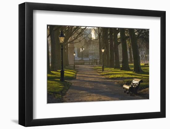 Sunrise, Green Park, London, England, United Kingdom, Europe-James Emmerson-Framed Photographic Print