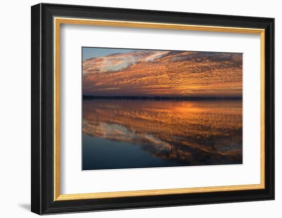 Sunrise Highlighting the Clouds Causing Dramatic Sky and Reflections-Sheila Haddad-Framed Photographic Print