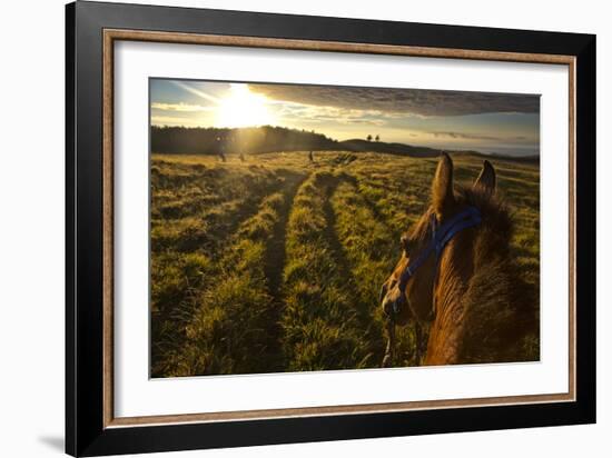 Sunrise Horseback Riding On Easter Island, Chile-Karine Aigner-Framed Photographic Print