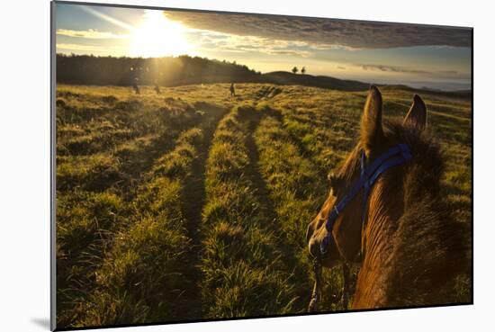 Sunrise Horseback Riding On Easter Island, Chile-Karine Aigner-Mounted Photographic Print