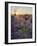 Sunrise in a lavender filed with a dead tree, a ruin and the sun burst, Valensole, Provence, France-Francesco Fanti-Framed Photographic Print