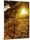 Premium Photographic Print