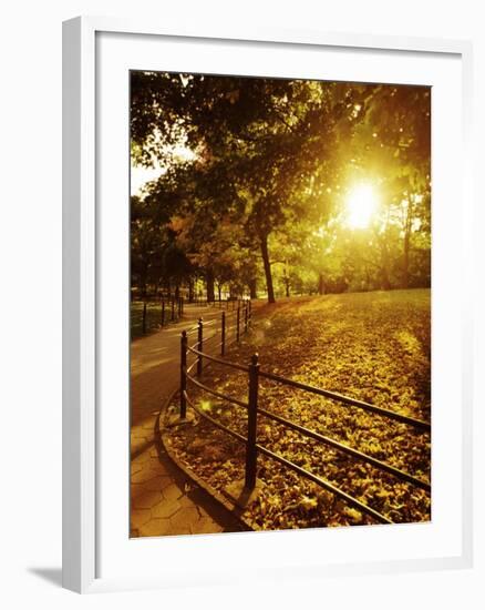 Sunrise in Central Park-null-Framed Photographic Print
