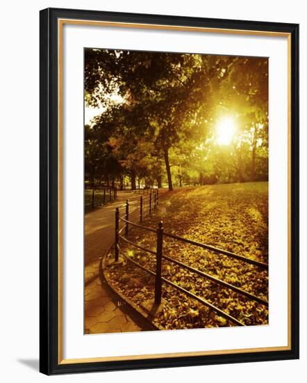 Sunrise in Central Park-null-Framed Photographic Print