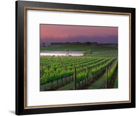 Sunrise in Distant Fog, Carnaros, Napa Valley, California, USA-Janis Miglavs-Framed Photographic Print