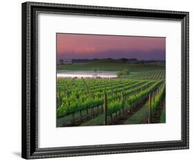 Sunrise in Distant Fog, Carnaros, Napa Valley, California, USA-Janis Miglavs-Framed Photographic Print