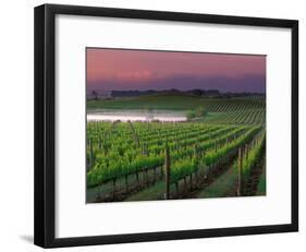 Sunrise in Distant Fog, Carnaros, Napa Valley, California, USA-Janis Miglavs-Framed Photographic Print