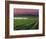 Sunrise in Distant Fog, Carnaros, Napa Valley, California, USA-Janis Miglavs-Framed Photographic Print