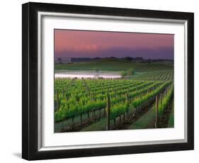 Sunrise in Distant Fog, Carnaros, Napa Valley, California, USA-Janis Miglavs-Framed Photographic Print