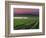 Sunrise in Distant Fog, Carnaros, Napa Valley, California, USA-Janis Miglavs-Framed Photographic Print