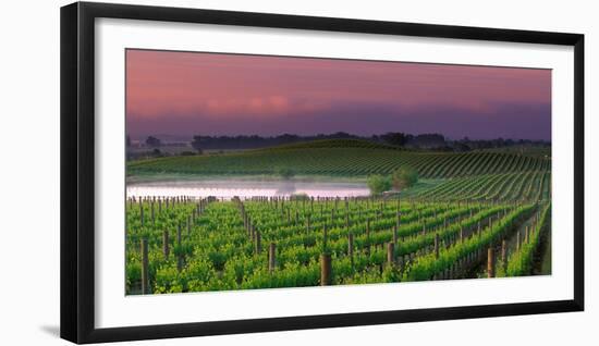 Sunrise in Distant Fog, Carnaros, Napa Valley, California, USA-Janis Miglavs-Framed Photographic Print