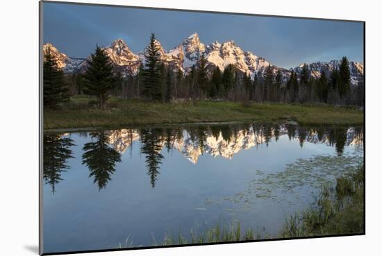 Sunrise In Grand Teton National Park At Schwalbachers Landing-Liam Doran-Mounted Photographic Print