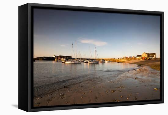 Sunrise in Lyme Regis, Dorset England UK-Tracey Whitefoot-Framed Premier Image Canvas