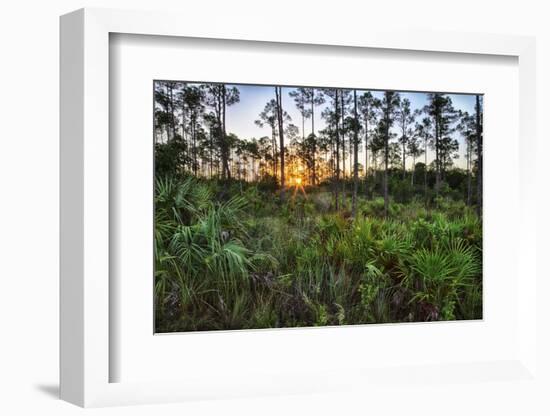 Sunrise in Mahogany Hammock-Terry Eggers-Framed Photographic Print