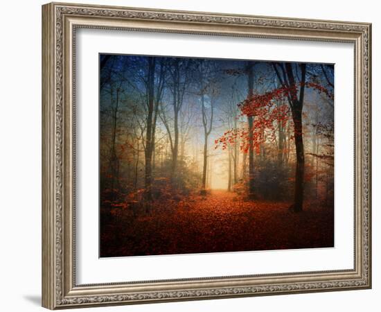 Sunrise in the Brocéliande Forest-Philippe Manguin-Framed Photographic Print