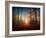 Sunrise in the Brocéliande Forest-Philippe Manguin-Framed Photographic Print