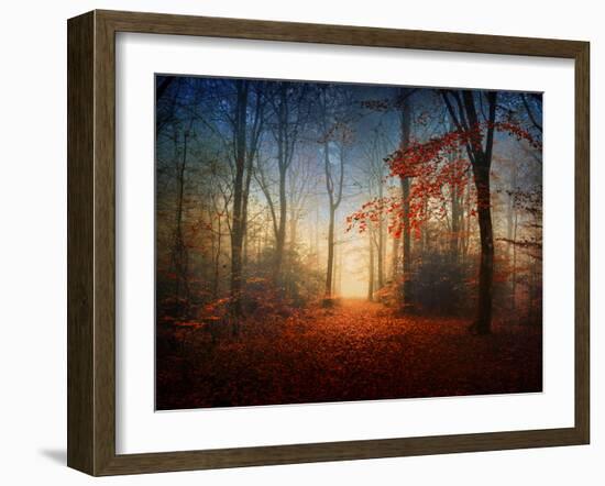 Sunrise in the Brocéliande Forest-Philippe Manguin-Framed Photographic Print