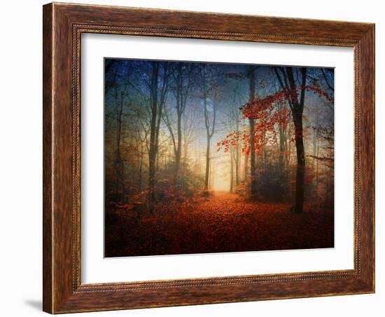 Sunrise in the Brocéliande Forest-Philippe Manguin-Framed Photographic Print