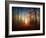 Sunrise in the Brocéliande Forest-Philippe Manguin-Framed Photographic Print