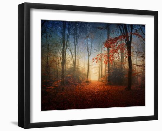 Sunrise in the Brocéliande Forest-Philippe Manguin-Framed Photographic Print