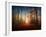 Sunrise in the Brocéliande Forest-Philippe Manguin-Framed Photographic Print