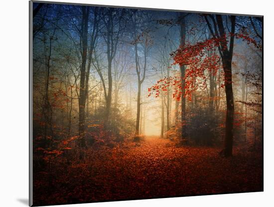 Sunrise in the Brocéliande Forest-Philippe Manguin-Mounted Photographic Print