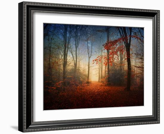 Sunrise in the Brocéliande Forest-Philippe Manguin-Framed Photographic Print