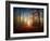 Sunrise in the Brocéliande Forest-Philippe Manguin-Framed Photographic Print