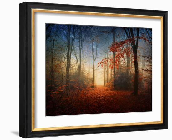 Sunrise in the Brocéliande Forest-Philippe Manguin-Framed Photographic Print