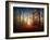 Sunrise in the Brocéliande Forest-Philippe Manguin-Framed Photographic Print