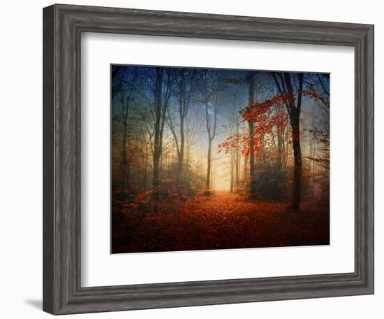 Sunrise in the Brocéliande Forest-Philippe Manguin-Framed Photographic Print