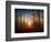 Sunrise in the Brocéliande Forest-Philippe Manguin-Framed Photographic Print