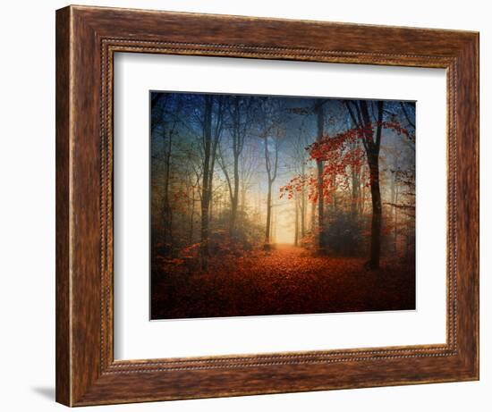 Sunrise in the Brocéliande Forest-Philippe Manguin-Framed Photographic Print